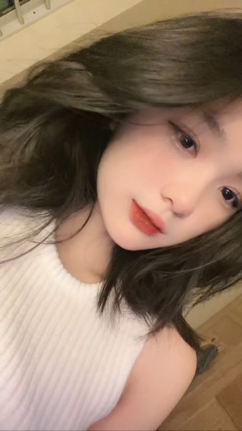 美女免费观看全集电视剧